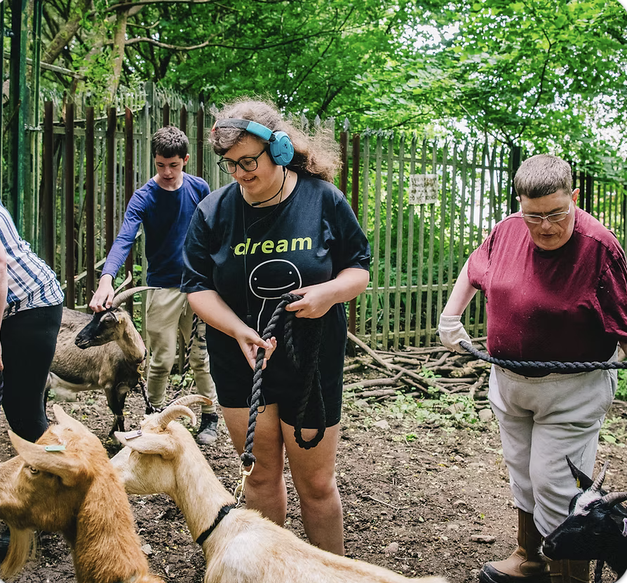 Swansea Community Farm