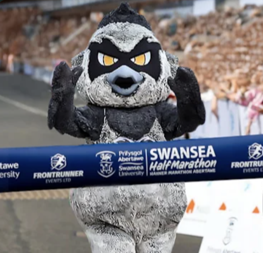 Ospreys In The Community